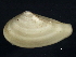  ( - BIOUG12670-B09)  @13 [ ] CreativeCommons - Attribution (2014) CBG Photography Group Centre for Biodiversity Genomics