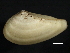  ( - BIOUG12670-B10)  @14 [ ] CreativeCommons - Attribution (2014) CBG Photography Group Centre for Biodiversity Genomics