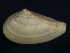  ( - BIOUG12670-B11)  @14 [ ] CreativeCommons - Attribution (2014) CBG Photography Group Centre for Biodiversity Genomics