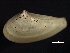  ( - BIOUG12670-B12)  @11 [ ] CreativeCommons - Attribution (2014) CBG Photography Group Centre for Biodiversity Genomics