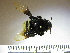  ( - BB1004)  @13 [ ] CreativeCommons - Attribution Non-Commercial No Derivatives (2011) Dr. Berry Brosi Emory University