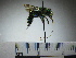  ( - BB1139)  @12 [ ] CreativeCommons - Attribution Non-Commercial No Derivatives (2011) Dr. Berry Brosi Emory University