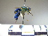  ( - BB1393)  @13 [ ] CreativeCommons - Attribution Non-Commercial No Derivatives (2011) Dr. Berry Brosi Emory University