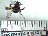  ( - BB1613)  @12 [ ] CreativeCommons - Attribution Non-Commercial No Derivatives (2011) Dr. Berry Brosi Emory University