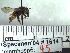  ( - BB1614)  @12 [ ] CreativeCommons - Attribution Non-Commercial No Derivatives (2011) Dr. Berry Brosi Emory University