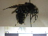  ( - BB1783)  @13 [ ] CreativeCommons - Attribution Non-Commercial No Derivatives (2011) Dr. Berry Brosi Emory University