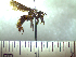  ( - BB182)  @11 [ ] CreativeCommons - Attribution Non-Commercial No Derivatives (2011) Dr. Berry Brosi Emory University