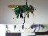  ( - BB1845)  @13 [ ] CreativeCommons - Attribution Non-Commercial No Derivatives (2011) Dr. Berry Brosi Emory University