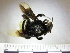  ( - BB2242)  @13 [ ] CreativeCommons - Attribution Non-Commercial No Derivatives (2011) Dr. Berry Brosi Emory University