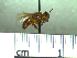  ( - BB2320)  @11 [ ] CreativeCommons - Attribution Non-Commercial No Derivatives (2011) Dr. Berry Brosi Emory University