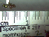  ( - BB297)  @12 [ ] CreativeCommons - Attribution Non-Commercial No Derivatives (2011) Dr. Berry Brosi Emory University