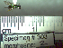  ( - BB303)  @12 [ ] CreativeCommons - Attribution Non-Commercial No Derivatives (2011) Dr. Berry Brosi Emory University
