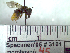  ( - BB3101)  @12 [ ] CreativeCommons - Attribution Non-Commercial No Derivatives (2011) Dr. Berry Brosi Emory University