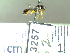  ( - BB3257)  @13 [ ] CreativeCommons - Attribution Non-Commercial No Derivatives (2011) Dr. Berry Brosi Emory University
