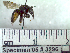  ( - BB3296)  @13 [ ] CreativeCommons - Attribution Non-Commercial No Derivatives (2011) Dr. Berry Brosi Emory University