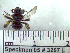  ( - BB3297)  @12 [ ] CreativeCommons - Attribution Non-Commercial No Derivatives (2011) Dr. Berry Brosi Emory University