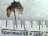  ( - BB3297)  @12 [ ] CreativeCommons - Attribution Non-Commercial No Derivatives (2011) Dr. Berry Brosi Emory University