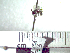  ( - BB354)  @13 [ ] CreativeCommons - Attribution Non-Commercial No Derivatives (2011) Dr. Berry Brosi Emory University