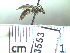  ( - BB3553)  @13 [ ] CreativeCommons - Attribution Non-Commercial No Derivatives (2011) Dr. Berry Brosi Emory University