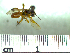  ( - BB3556)  @11 [ ] CreativeCommons - Attribution Non-Commercial No Derivatives (2011) Dr. Berry Brosi Emory University