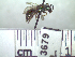  ( - BB3679)  @12 [ ] CreativeCommons - Attribution Non-Commercial No Derivatives (2011) Dr. Berry Brosi Emory University