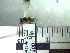  ( - BB522)  @11 [ ] CreativeCommons - Attribution Non-Commercial No Derivatives (2011) Dr. Berry Brosi Emory University