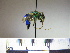  ( - BB748)  @11 [ ] CreativeCommons - Attribution Non-Commercial No Derivatives (2011) Dr. Berry Brosi Emory University