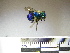  ( - BB774)  @11 [ ] CreativeCommons - Attribution Non-Commercial No Derivatives (2011) Dr. Berry Brosi Emory University