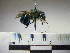  ( - BB813)  @13 [ ] CreativeCommons - Attribution Non-Commercial No Derivatives (2011) Dr. Berry Brosi Emory University