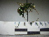  ( - BB833)  @12 [ ] CreativeCommons - Attribution Non-Commercial No Derivatives (2011) Dr. Berry Brosi Emory University