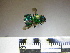  ( - BB893)  @11 [ ] CreativeCommons - Attribution Non-Commercial No Derivatives (2011) Dr. Berry Brosi Emory University