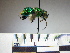  ( - BB894)  @11 [ ] CreativeCommons - Attribution Non-Commercial No Derivatives (2011) Dr. Berry Brosi Emory University