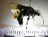  ( - BB938)  @14 [ ] CreativeCommons - Attribution Non-Commercial No Derivatives (2011) Dr. Berry Brosi Emory University