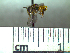  ( - BB948)  @11 [ ] CreativeCommons - Attribution Non-Commercial No Derivatives (2011) Dr. Berry Brosi Emory University