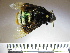  ( - BB953)  @13 [ ] CreativeCommons - Attribution Non-Commercial No Derivatives (2011) Dr. Berry Brosi Emory University