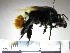  ( - BB953)  @13 [ ] CreativeCommons - Attribution Non-Commercial No Derivatives (2011) Dr. Berry Brosi Emory University