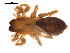 ( - CCDB-04285-C03)  @13 [ ] CreativeCommons - Attribution (2009) Gergin Blagoev, Centre for Biodiversity Genomics Centre for Biodiversity Genomics
