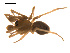  ( - CCDB-04285-D02)  @13 [ ] CreativeCommons - Attribution (2009) Gergin Blagoev, Centre for Biodiversity Genomics Centre for Biodiversity Genomics