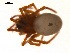  ( - CCDB-04285-G09)  @12 [ ] CreativeCommons - Attribution (2009) Gergin Blagoev, Centre for Biodiversity Genomics Centre for Biodiversity Genomics