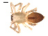  ( - CCDB-04286-A05)  @13 [ ] CreativeCommons - Attribution (2009) Gergin Blagoev, Centre for Biodiversity Genomics Centre for Biodiversity Genomics