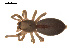  ( - CCDB-04286-G12)  @13 [ ] CreativeCommons - Attribution (2009) Gergin Blagoev, Centre for Biodiversity Genomics Centre for Biodiversity Genomics