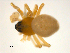  ( - CCDB-05157-B12)  @12 [ ] CreativeCommons - Attribution (2010) Gergin Blagoev, Centre for Biodiversity Genomics Centre for Biodiversity Genomics