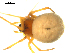  ( - CCDB-05157-G02)  @12 [ ] CreativeCommons - Attribution (2010) Gergin Blagoev, Centre for Biodiversity Genomics Centre for Biodiversity Genomics