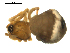  ( - CCDB-05157-H03)  @12 [ ] CreativeCommons - Attribution (2010) Gergin Blagoev, Centre for Biodiversity Genomics Centre for Biodiversity Genomics