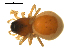  ( - CCDB-05157-H06)  @12 [ ] CreativeCommons - Attribution (2010) Gergin Blagoev, Centre for Biodiversity Genomics Centre for Biodiversity Genomics