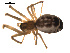 ( - CCDB-05269-H10)  @13 [ ] CreativeCommons - Attribution (2009) Gergin Blagoev, Centre for Biodiversity Genomics Centre for Biodiversity Genomics