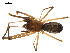  ( - CCDB-05296-E10)  @13 [ ] CreativeCommons - Attribution (2009) Gergin Blagoev, Centre for Biodiversity Genomics Centre for Biodiversity Genomics
