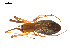  ( - CCDB-05296-H05)  @13 [ ] CreativeCommons - Attribution (2009) Gergin Blagoev, Centre for Biodiversity Genomics Centre for Biodiversity Genomics