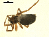  ( - CCDB-05302-H10)  @13 [ ] CreativeCommons - Attribution  Gergin Blagoev, Centre for Biodiversity Genomics Centre for Biodiversity Genomics