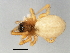  ( - CCDB-04550-E06)  @12 [ ] CreativeCommons - Attribution (2010) Unspecified Centre for Biodiversity Genomics